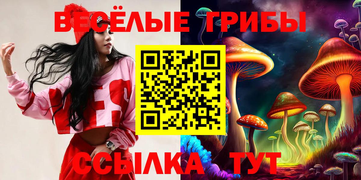 Псилоцибиновые грибы MAGIC MUSHROOMS Солнечногорск